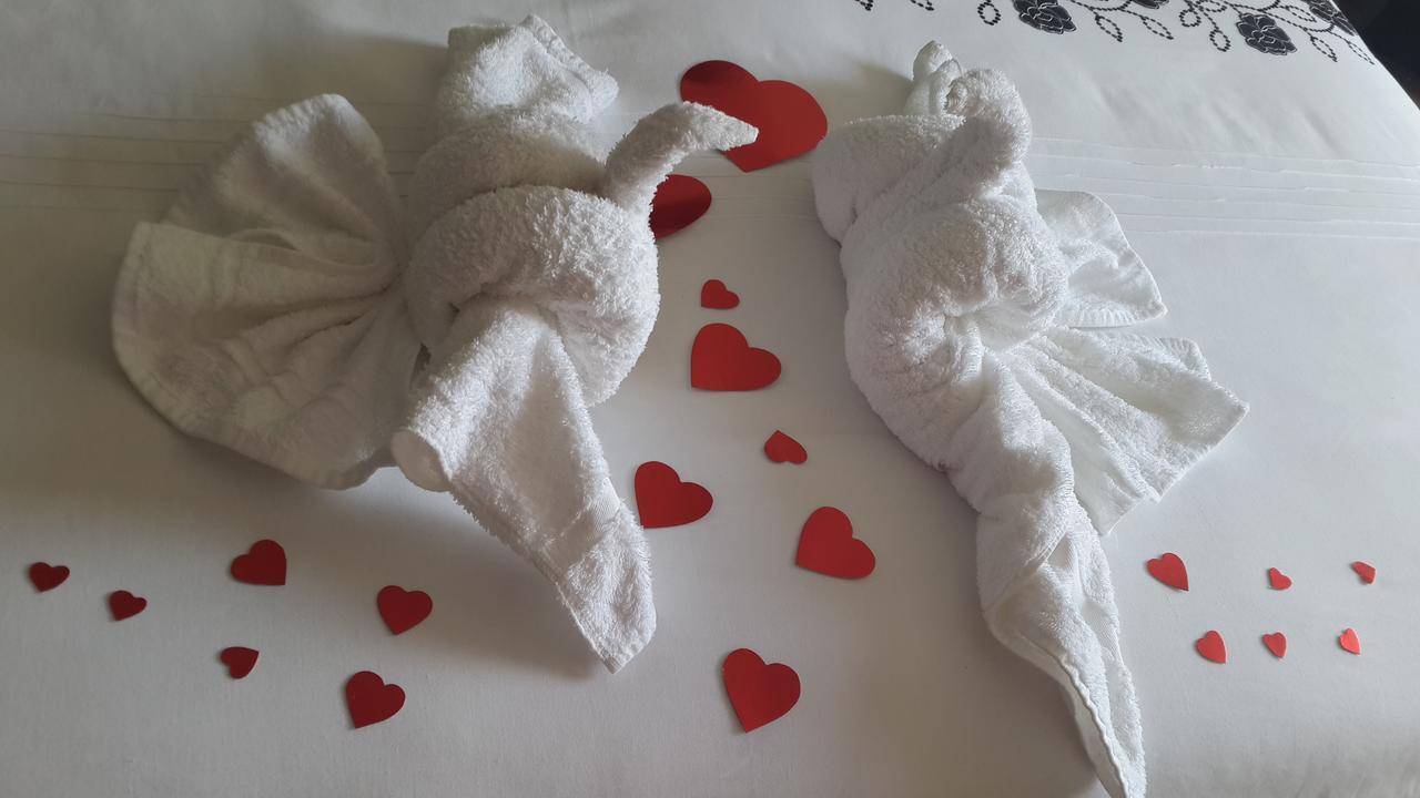 Caxton Manor B&B Cape Town Ngoại thất bức ảnh
