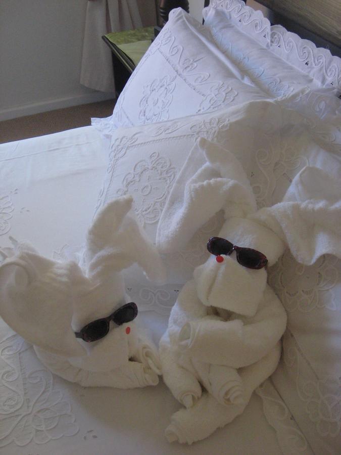 Caxton Manor B&B Cape Town Ngoại thất bức ảnh