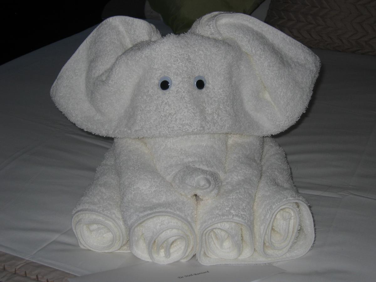 Caxton Manor B&B Cape Town Ngoại thất bức ảnh